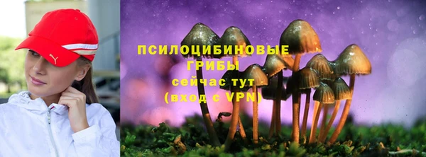 твердый Армянск