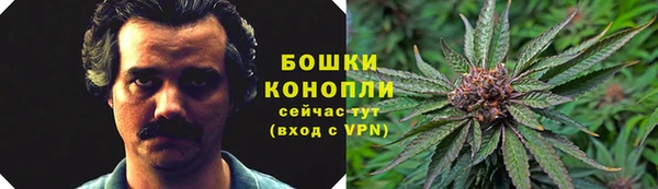 СК Аркадак