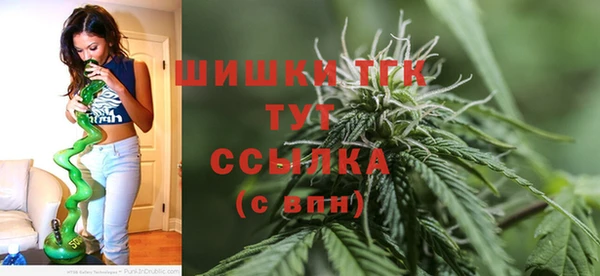 СК Аркадак
