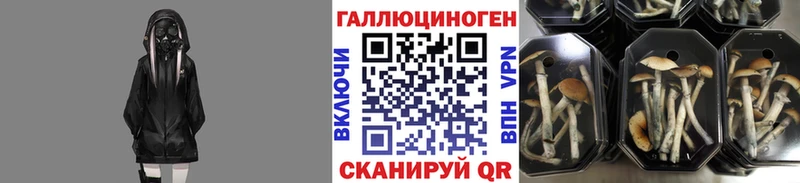 что такое   Энем  Псилоцибиновые грибы прущие грибы 